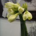 2009 02 17 019.JPG